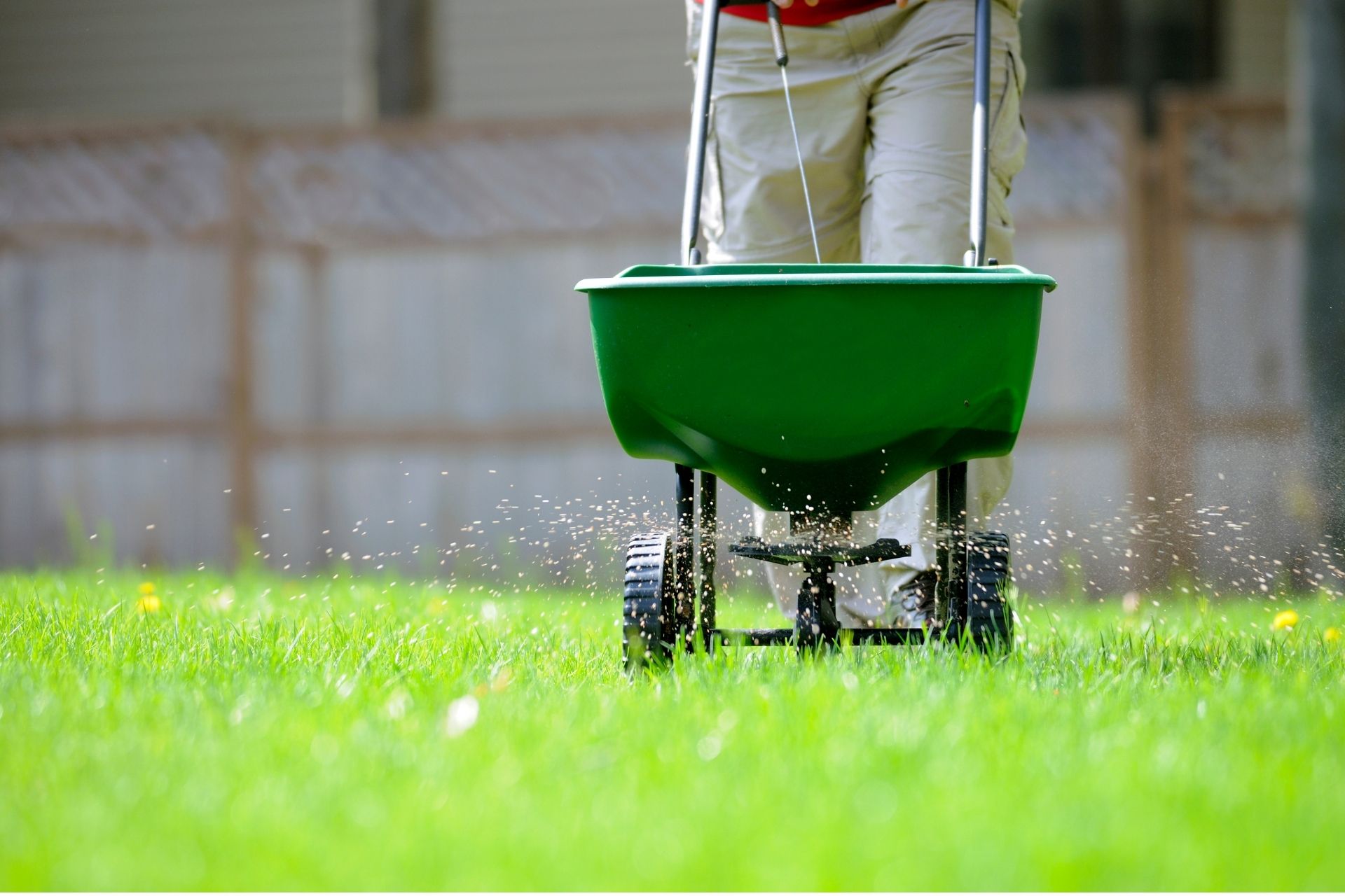 lawn fertilization